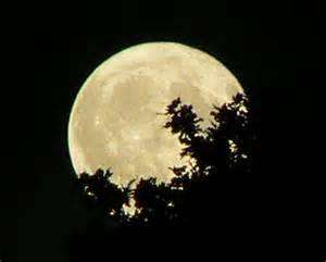 Yellow Moon